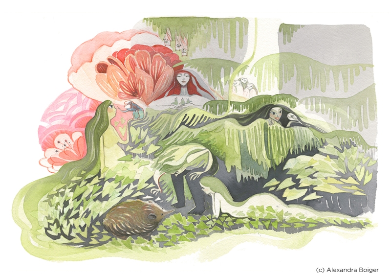 Boiger_Nymphs