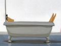 Young-Belinda-bathtub