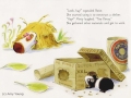 Young-Guinea-Pigs-2