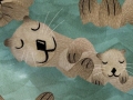 Raff_Kangaroo_otters