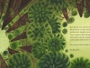 treeladywernickn