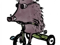 Rowan-Zoch Boar 2