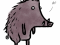 Rowan-Zoch Boar