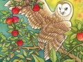 Kobabe-owl-apples