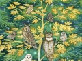 Kobabe-owl-community