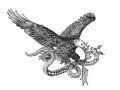 Timothy-Eagle-and-Snake