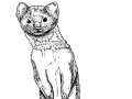 Timothy-Otter