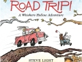 Light-Road-Trip-cover