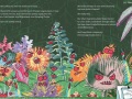 Weinberg-AstroNuts-Plant
